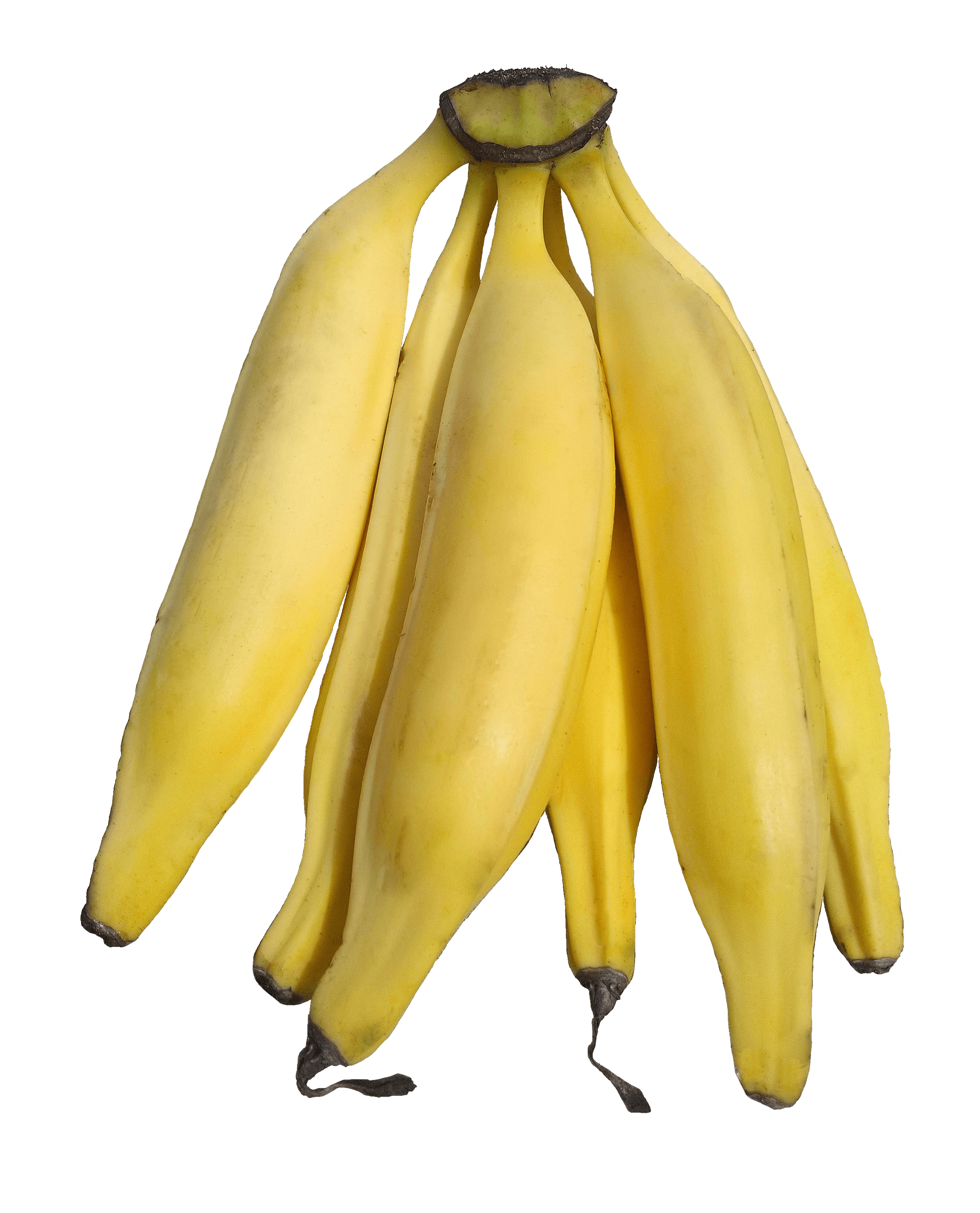 Plantain Flour